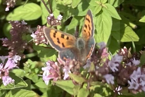 Two children craft with an elderly woman, surrounded by materials on a table.