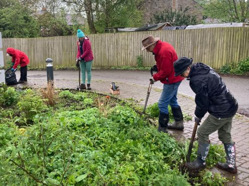 Group of four people gardening, digging in a lush green area with tools.
